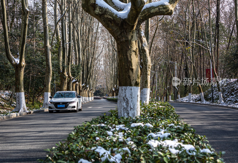 雪后的南京钟山风景区灵谷景区