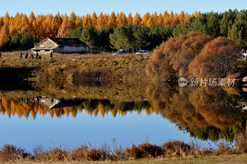 秋日坝上塞罕坝国家森林公园风景承德旅游