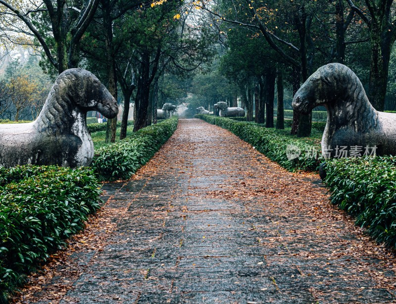 秋日石象景观小道雨中明孝陵