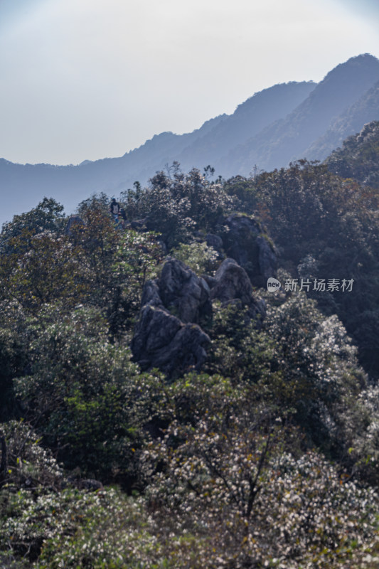 杭州午潮山植被覆盖的连绵山脉风景