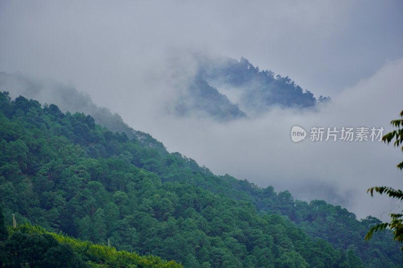 云雾缭绕山水风光