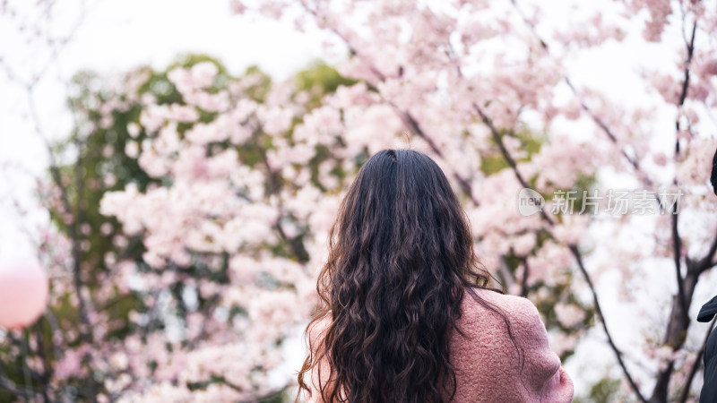 女子赏樱背影