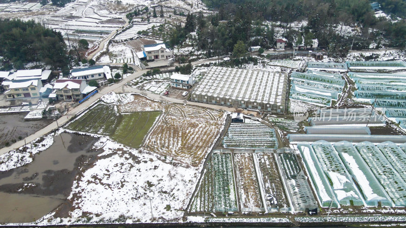 冬天农田农业种植雪景航拍图