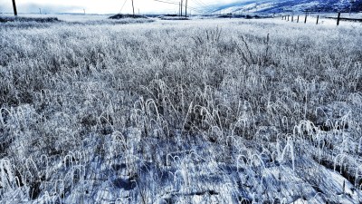 覆盖着冰雪的原野自然景观