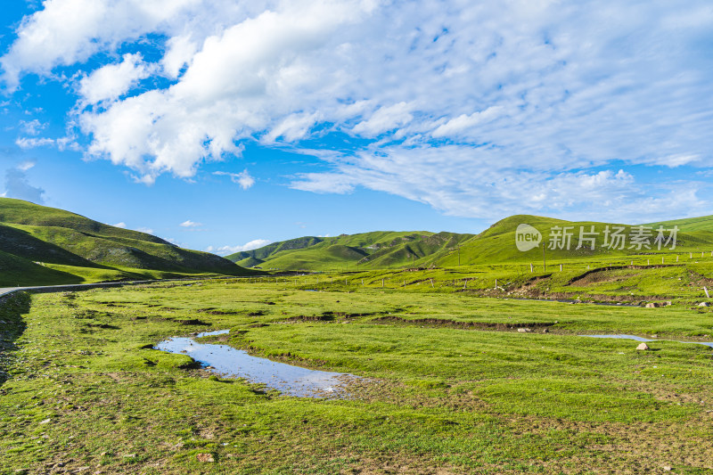 夏季青海祁连山蓝天白云草原牧场