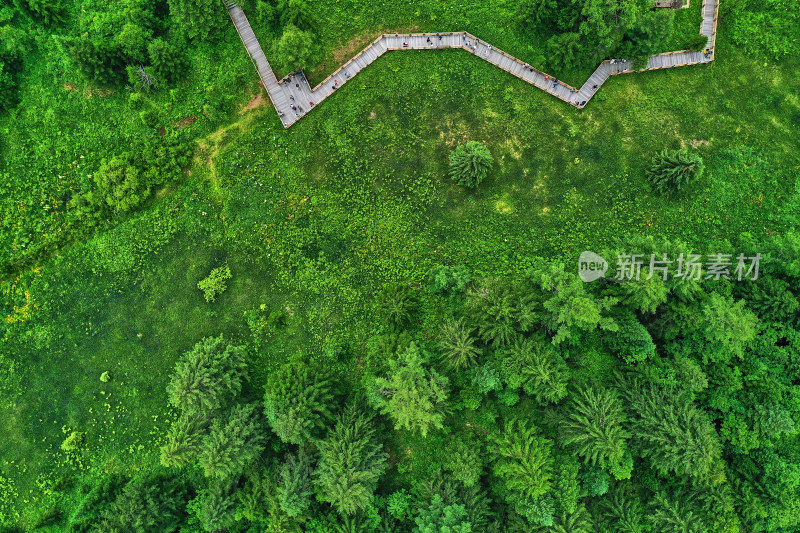 长白山高山花园风光