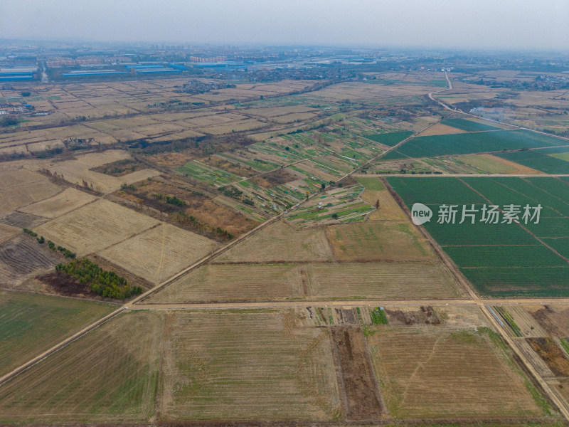 一望无际平原农村农业种植航拍图