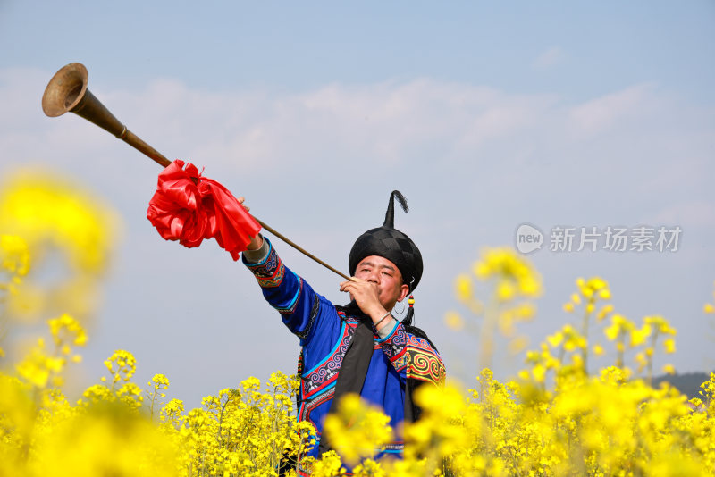 油菜花开春意浓 美丽乡村入画来