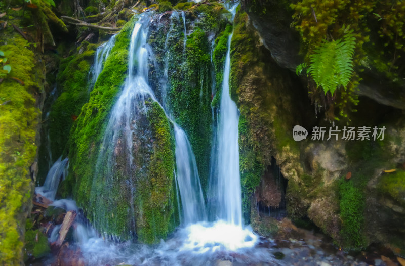 清新的苔藓瀑布自然风景