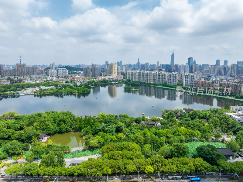 航拍南京莫愁湖荷塘紫峰大厦地标建筑同框