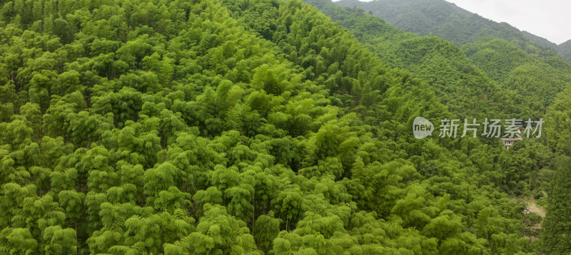 浙江省湖州安吉青山绿水竹山竹海航拍