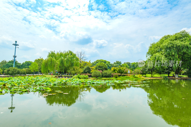 湖南长沙橘子洲景区