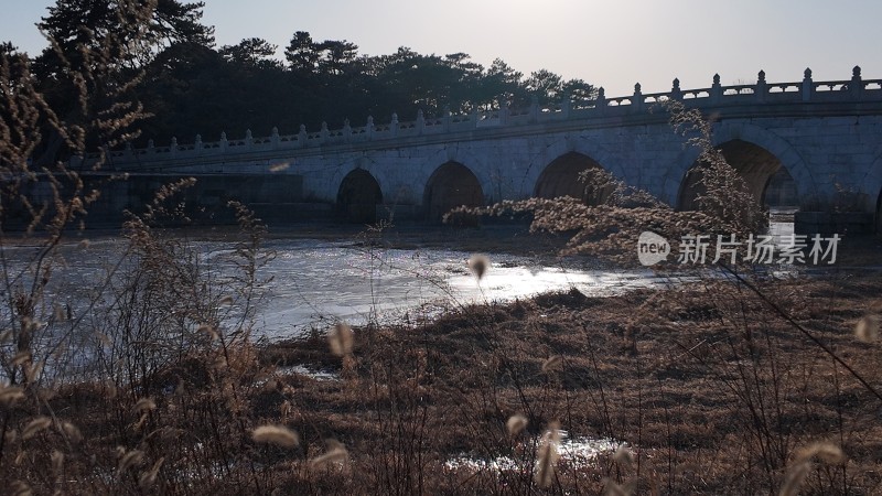 清西陵石桥横跨水面周围草木萧疏的景象