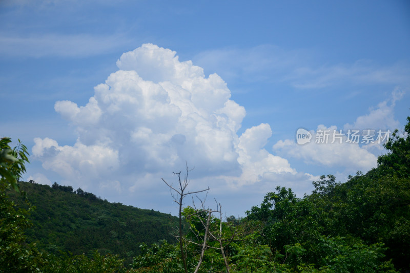 山中的风景