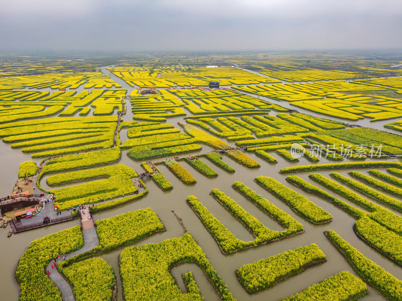 江苏扬州千垛油菜花金黄色运河航拍