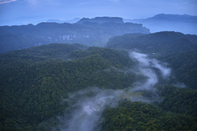 金佛山的清晨