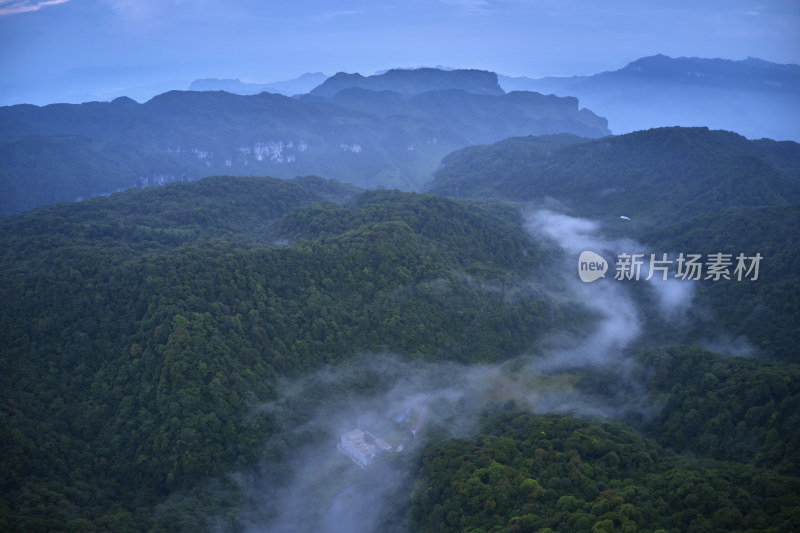 金佛山的清晨