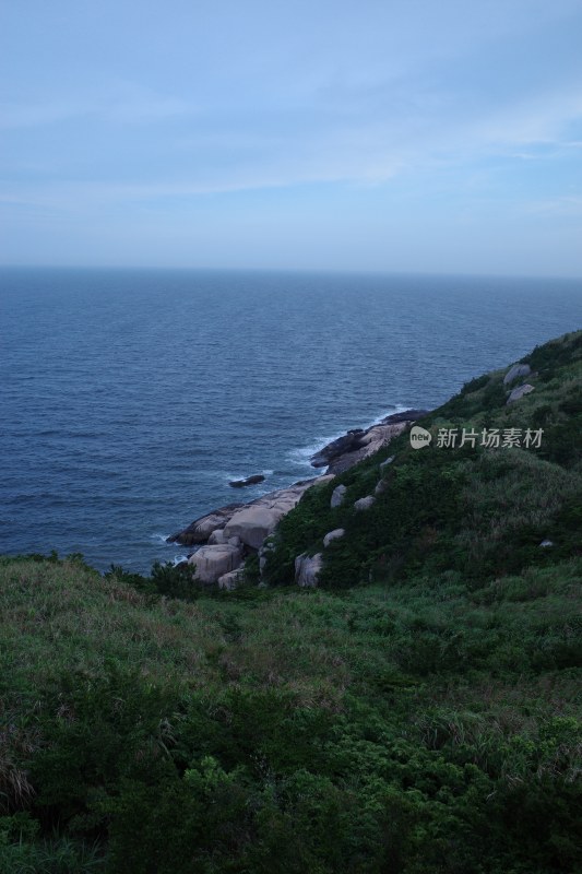 海边植被覆盖的岩石海岸景观