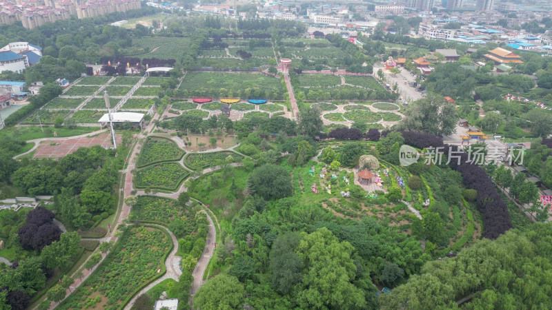 航拍山东菏泽曹州牡丹园4a景区