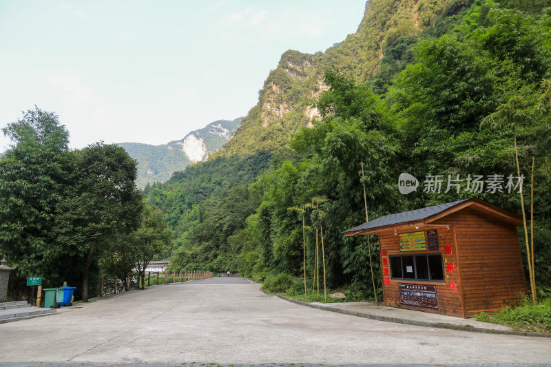 湖北宜昌三峡竹海风景区，自然风光，竹海