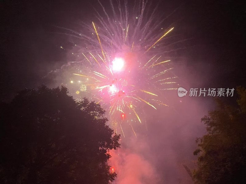 夜空中绽放的绚烂烟花