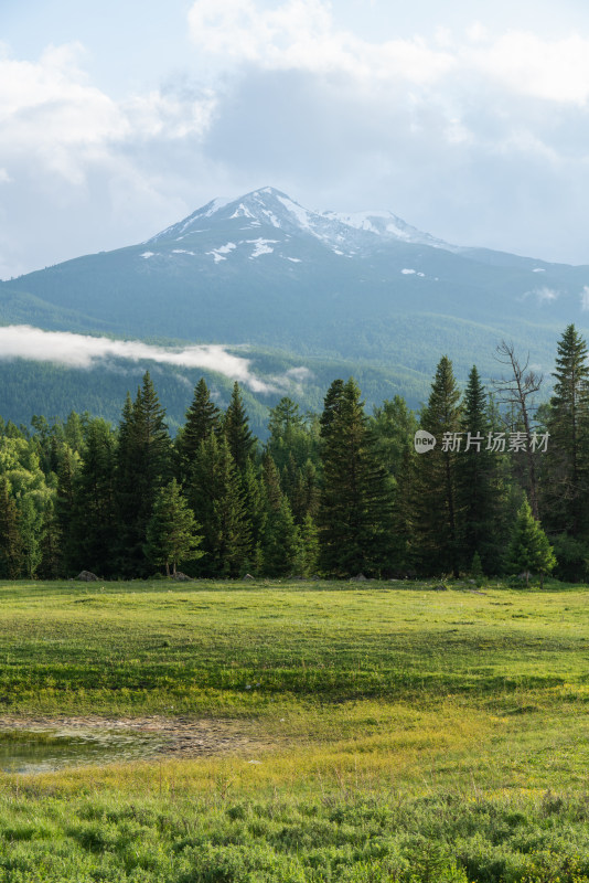 夏天的新疆喀纳斯风景