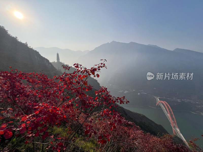 秋色红叶映衬下的重庆巫山长江大桥