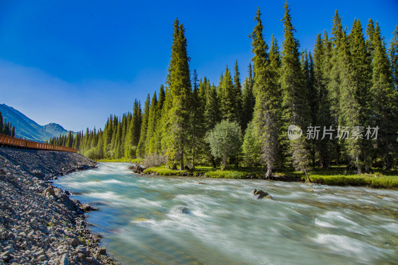 新疆独库公路森林 河流