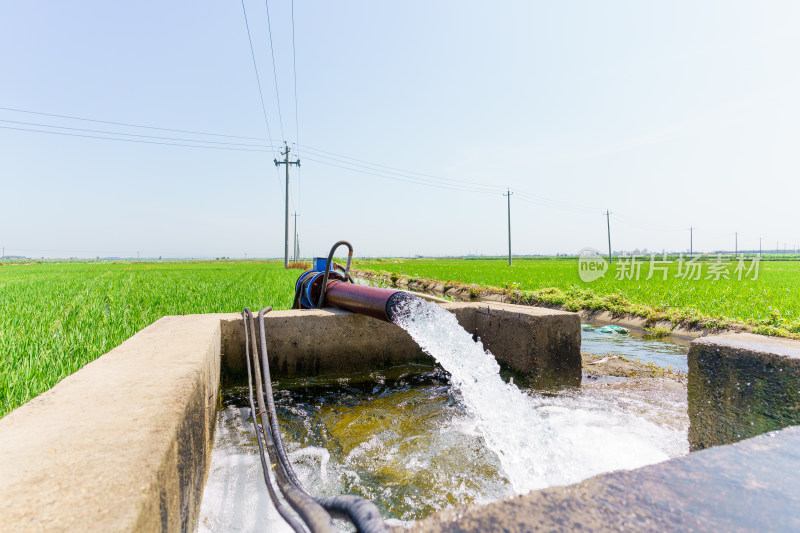 中国东北水田灌溉水井