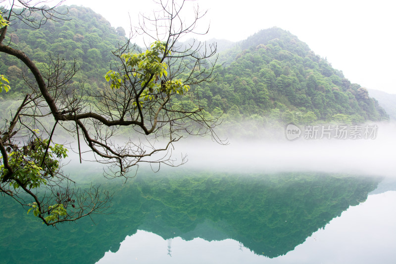 雾漫小东江