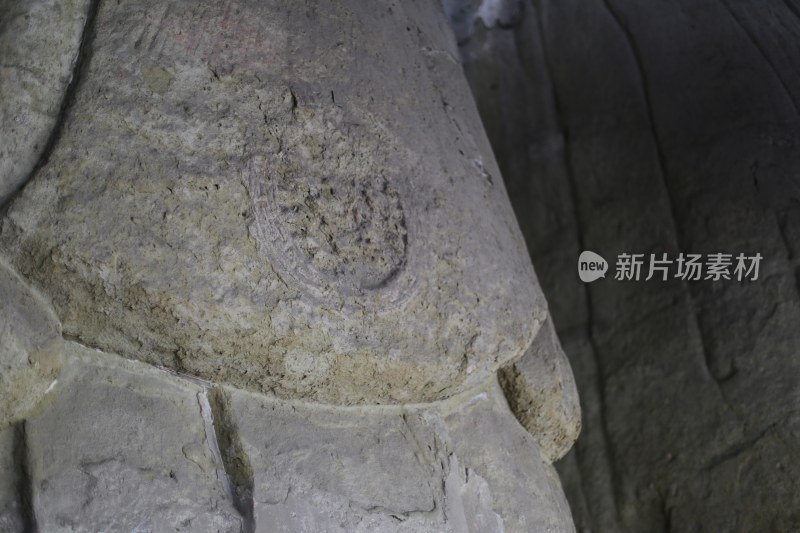 四川自贡荣县大佛寺荣县大佛局部