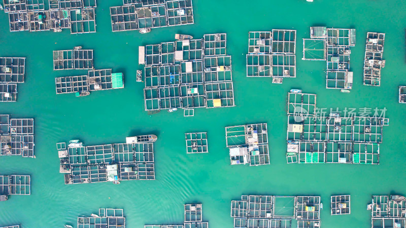 蓝色海洋大海海鲜养殖基地航拍