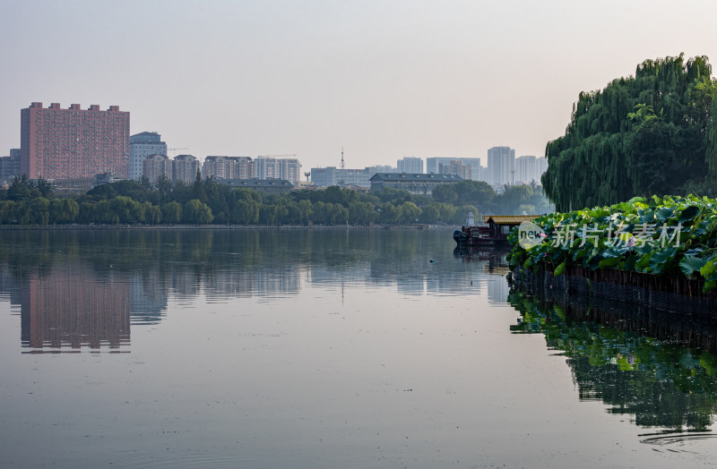 山东济南大明湖风景区自然景观与城市风光