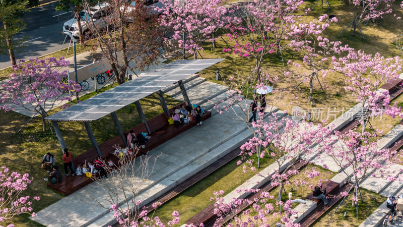 深圳市南山区后海中心河公园