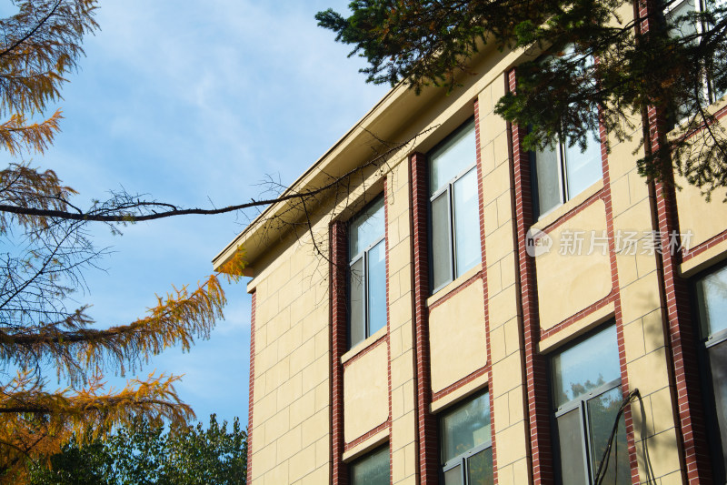 现代大学教学楼