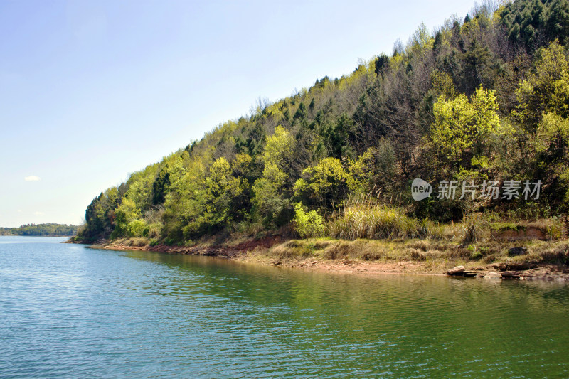 湖泊植物天空风景背景自然户外