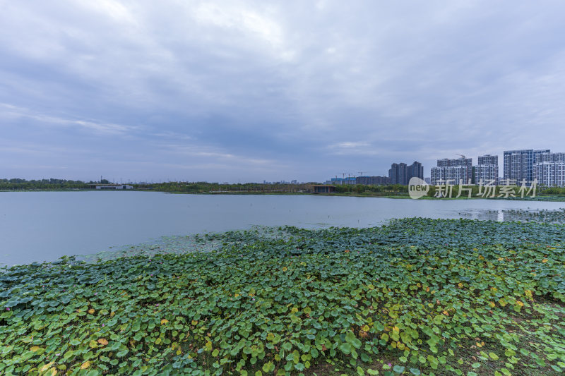 武汉江夏中央大公园风景