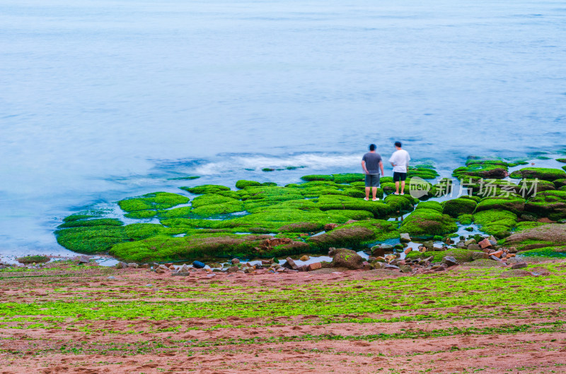 两个人站在布满绿藻的海岸上