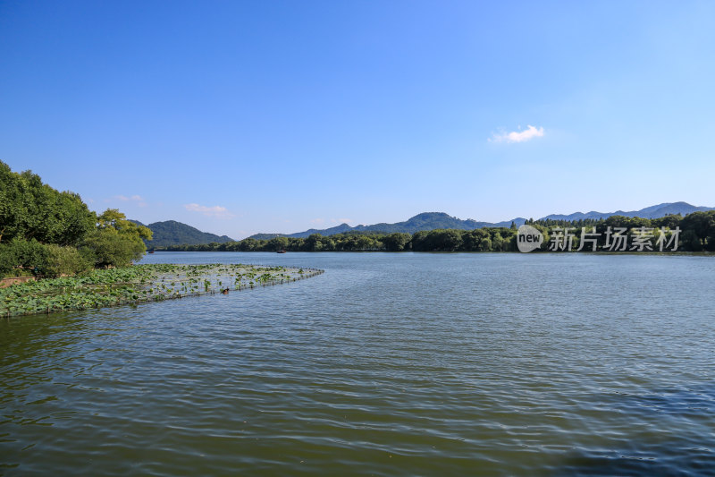 夏天杭州西湖美景