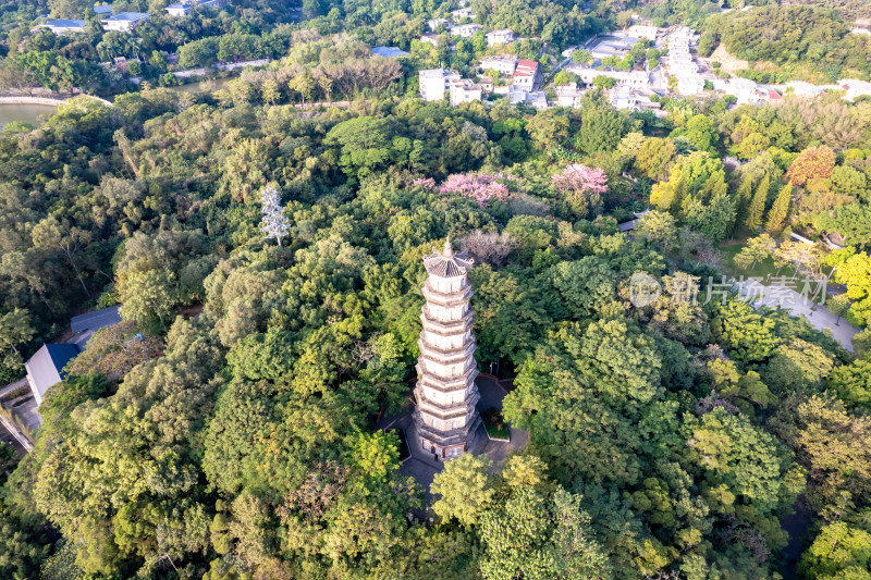 惠州西湖泗洲塔航拍