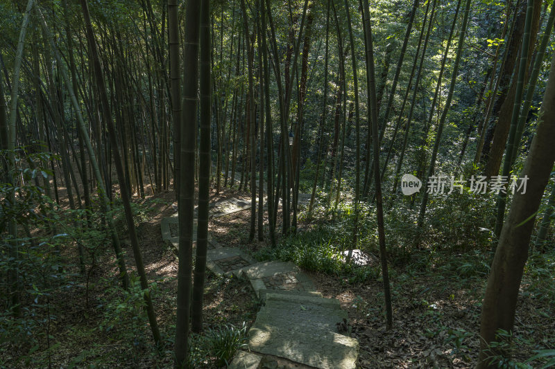 杭州宝石山景区佛石岩