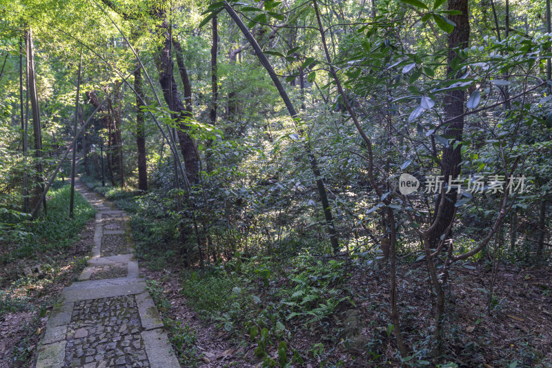 杭州宝石山景区挂牌山月牙池景点