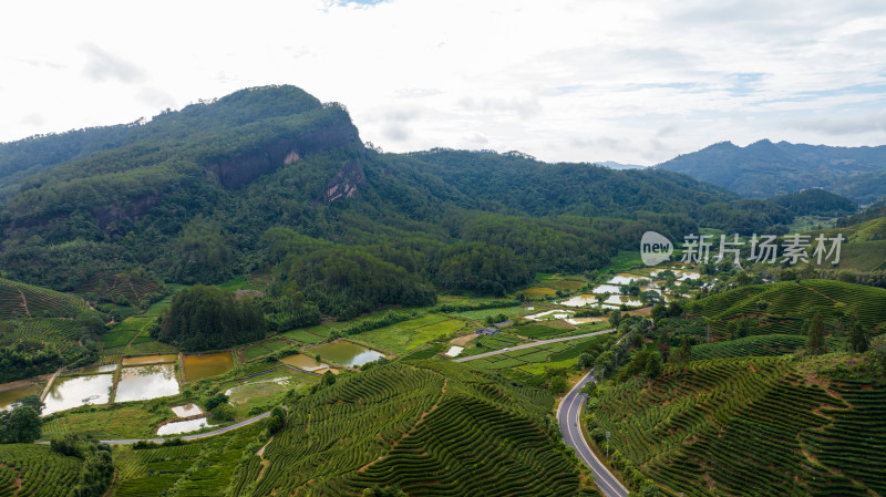 航拍武夷山绿色农田与茶园