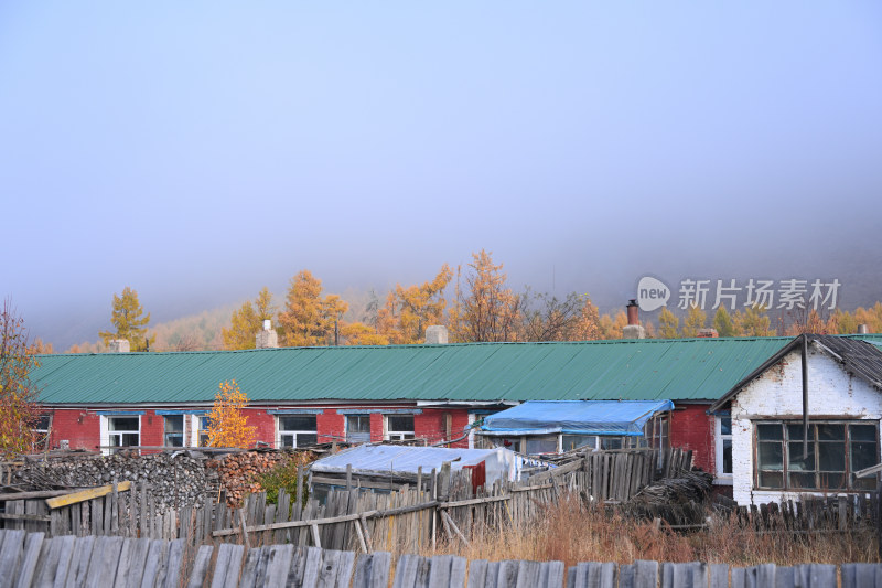 秋天的林中小屋小木屋