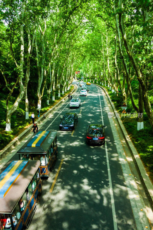 南京金陵的风景