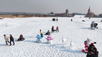 冬天下雪公园休闲滑雪