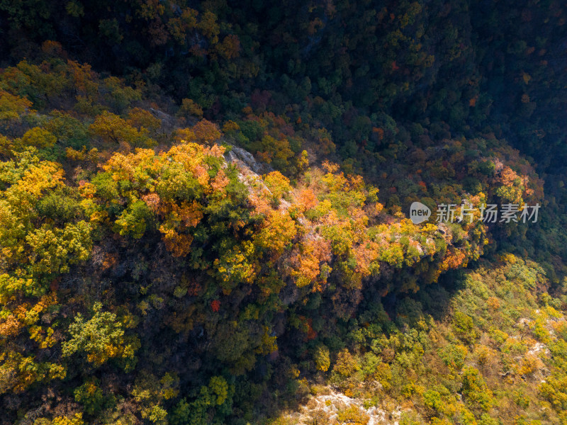 南阳老界岭秋景风光