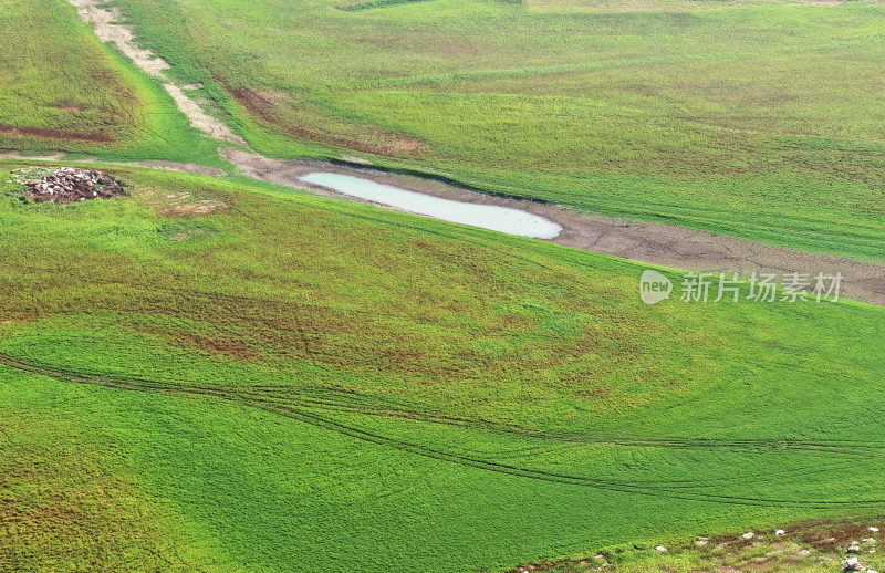 山东枣庄周村水库湿地草原风光