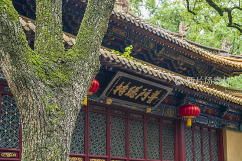 浙江普陀山普济寺禅院建筑