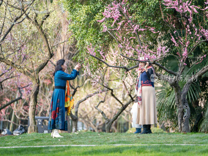 武汉东湖梅园游客